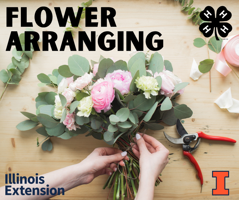 4H Flower Arranging Serving Christian, Jersey, Macoupin and